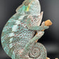 PN-11 Nosy Faly Male