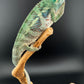 AP-30 Ambanja Male