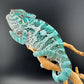 TN-5 Nosy Faly Male