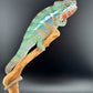 Ambilobe YBBB Male DV-13