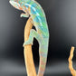 Ambilobe YBBB Male DV-13