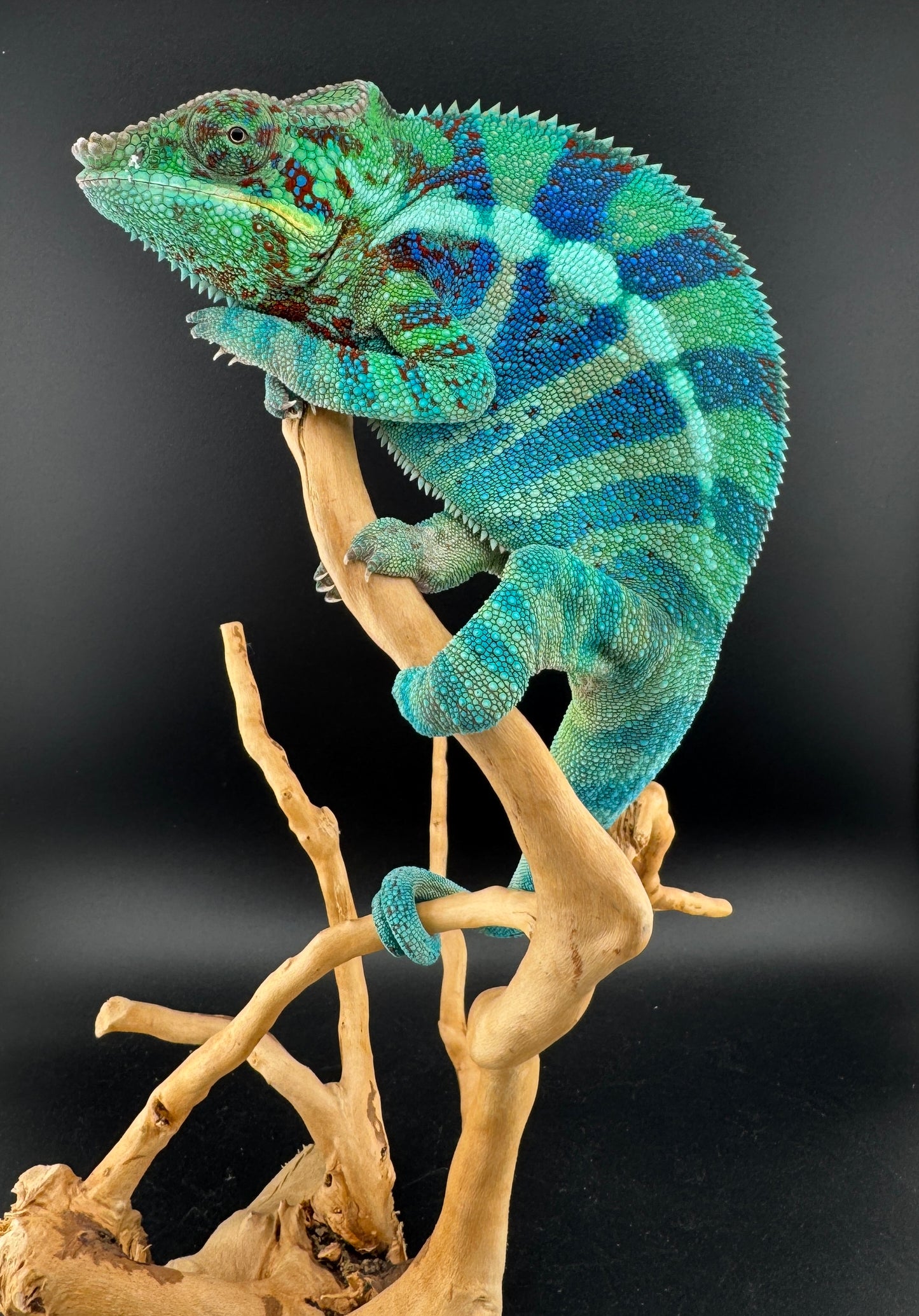 RMT-6 Ambanja Male