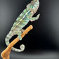 Ambilobe YBBB Male DV-15