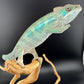 Ambilobe YBBB Male DV-11