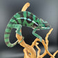 Sambava Male MSF-37 NOT SOLD OUT (Click into Listing)