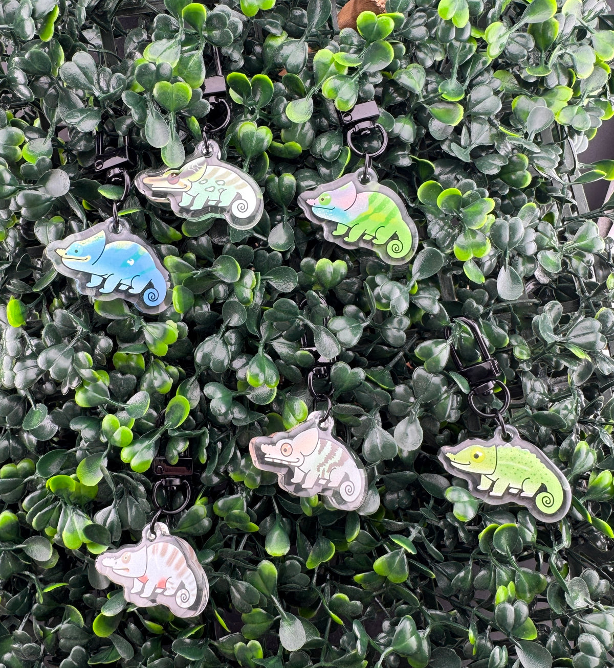 Ready's RainforestXChameleon Academy Collaboration Keychains