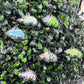 Ready's RainforestXChameleon Academy Collaboration Keychains