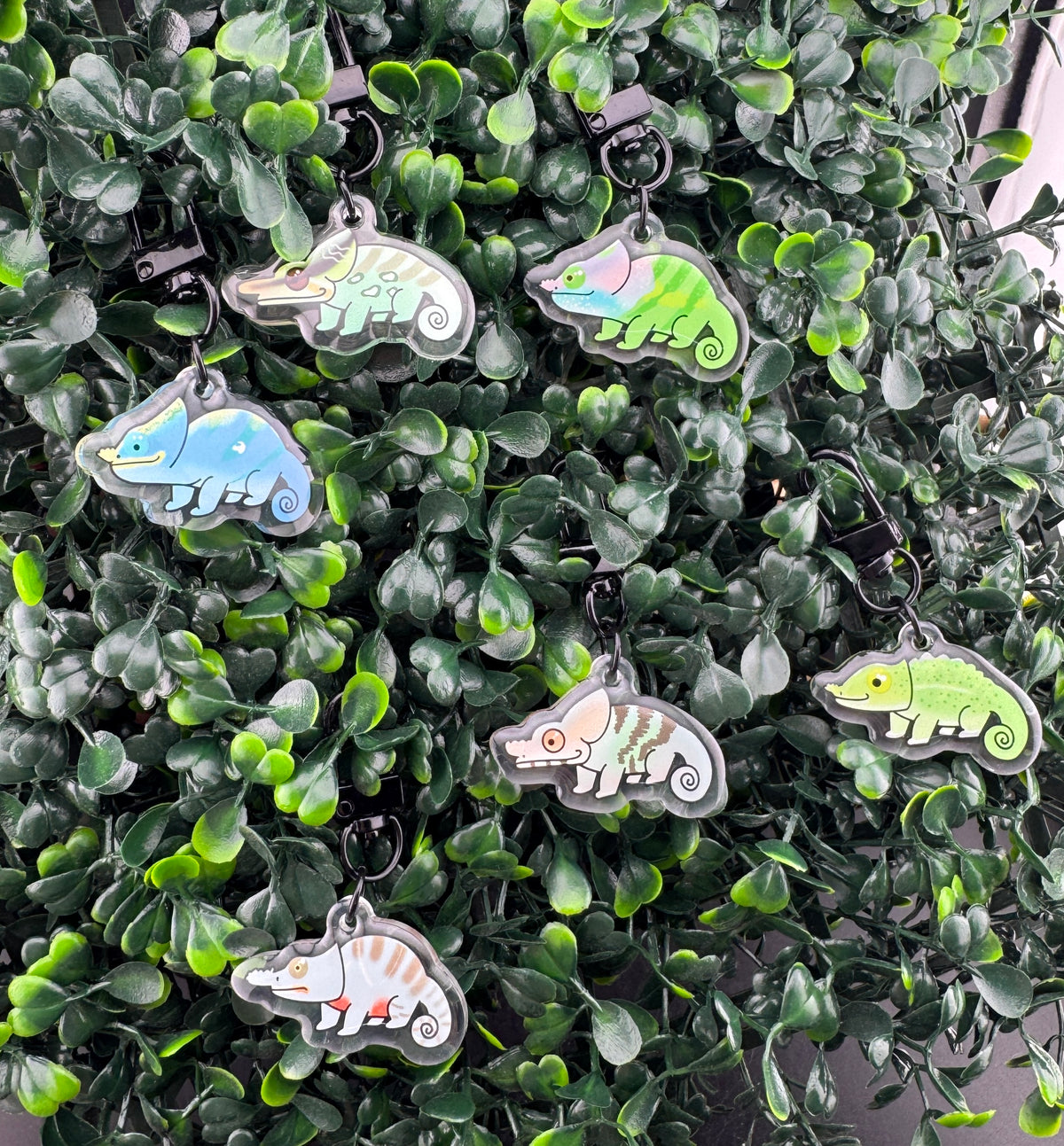 Ready's RainforestXChameleon Academy Collaboration Keychains