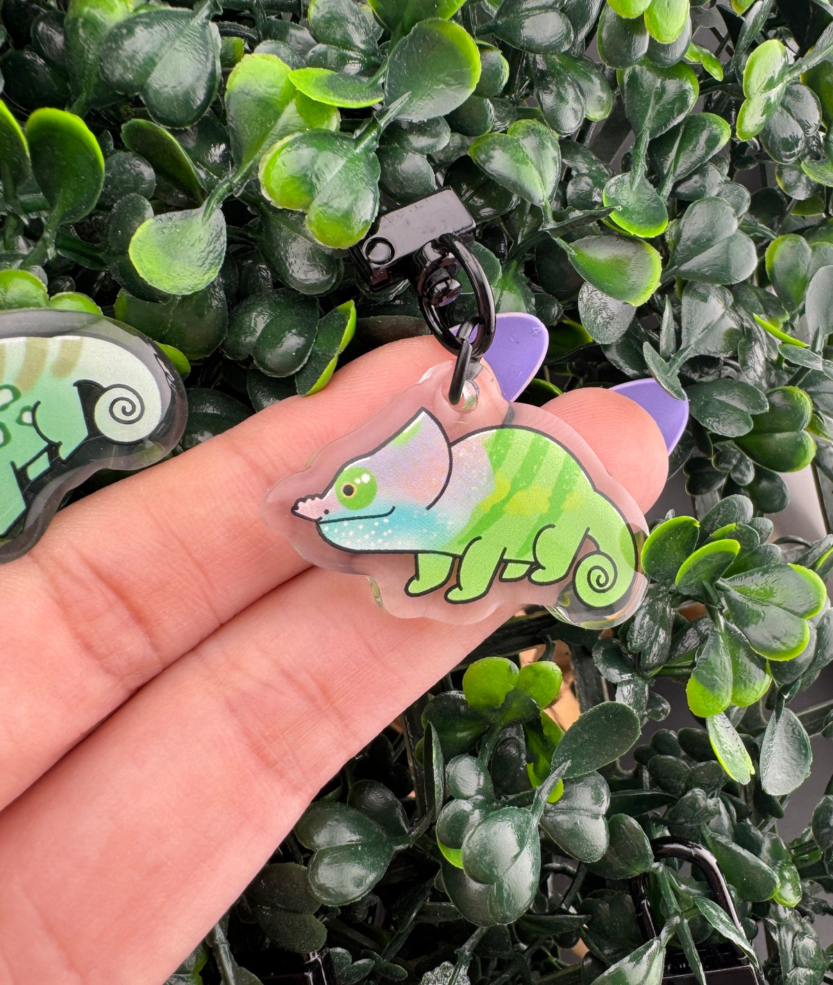 Ready's RainforestXChameleon Academy Collaboration Keychains