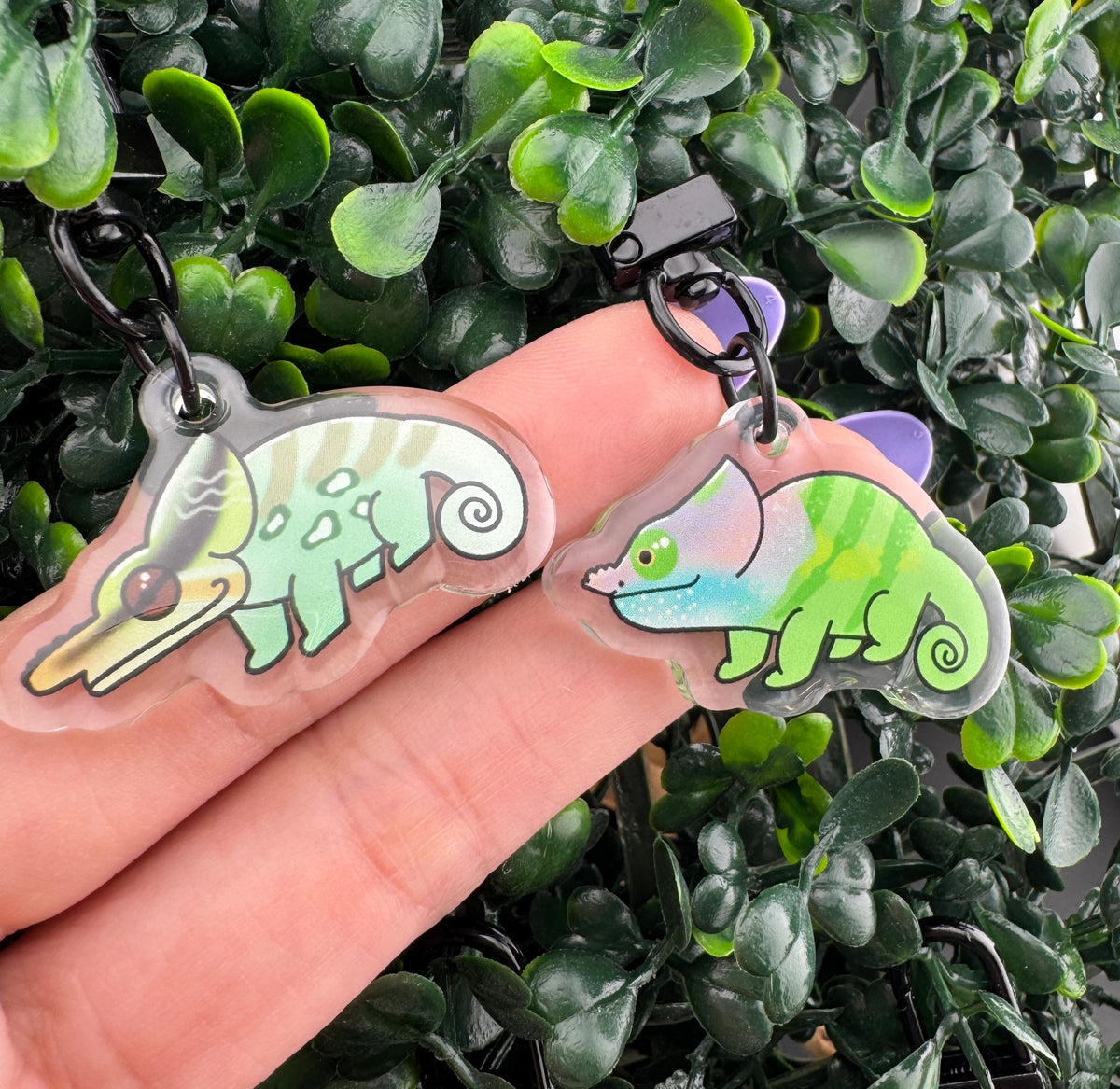 Ready's RainforestXChameleon Academy Collaboration Keychains