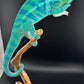 RMT-13 Ambanja Male