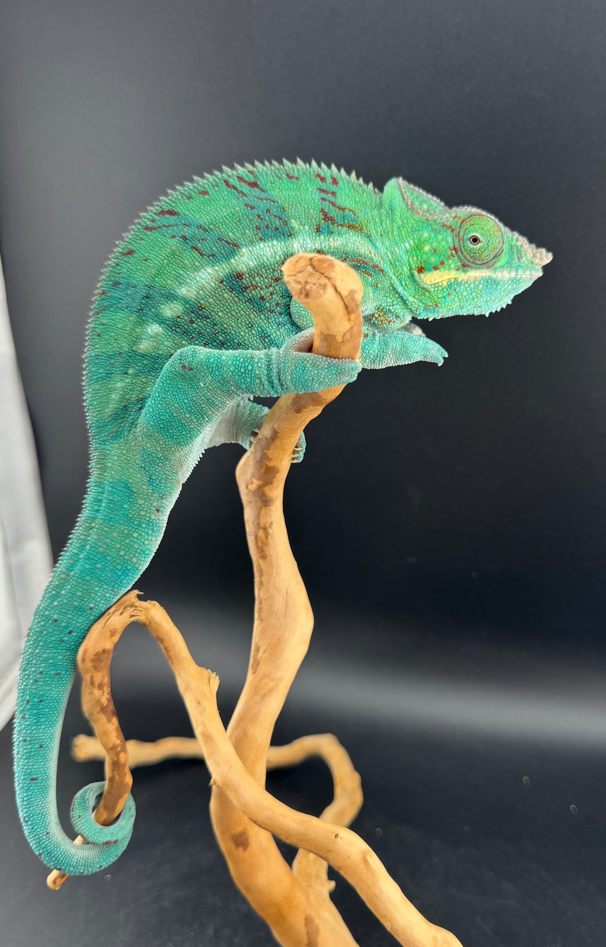 RMT-3 Ambanja Male