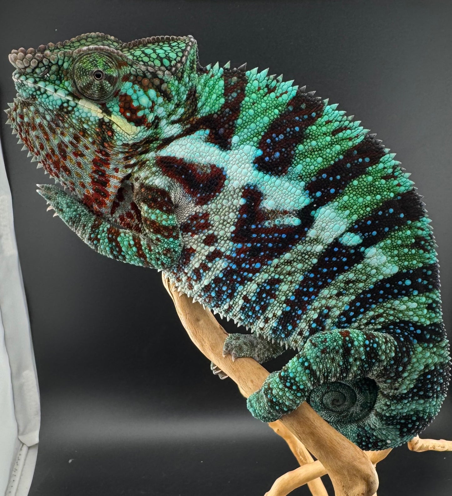 RMT-2 Ambanja Male