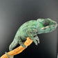 Sambava Male MSF-35 NOT SOLD OUT (Click into Listing)