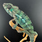 Ambilobe YBBB Male DV-16