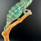 Ambilobe YBBB Male DV-16