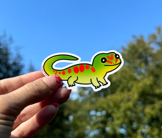 Giant Day Gecko