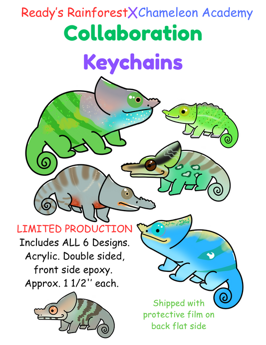 Ready's RainforestXChameleon Academy Collaboration Keychains
